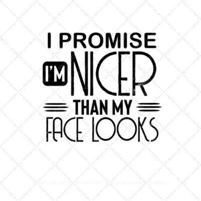 I promise I'm nicer than my face looks SVG PNG EPS AI DXF Download