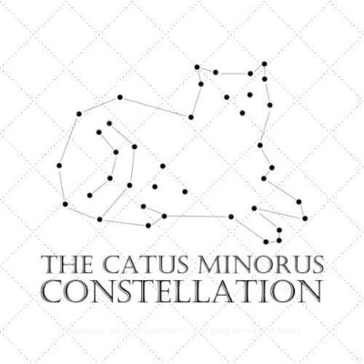 The catus minorus constellation SVG PNG EPS AI DXF Download