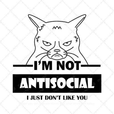 I'M NOT ANTISOCIAL I JUST DON'T LIKE YOU SVG PNG EPS DXF AI Download