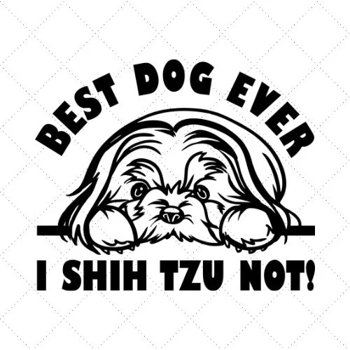 Best Dog Ever I Shih Tzu Not ! SVG PNG EPS DXF AI Download