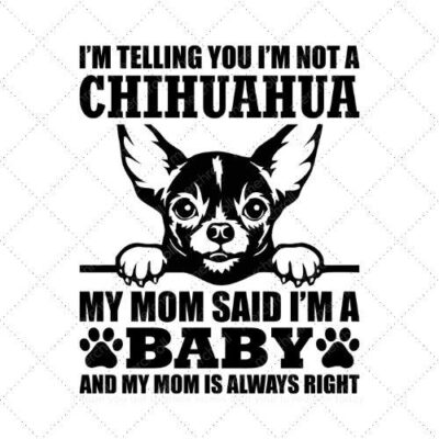 Im telling you I'm not a chihuahua my mom said I'm a baby and my mom is always right SVG PNG EPS DXF AI Download