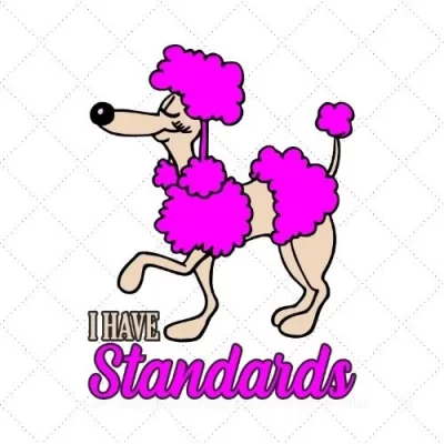 I Have Standards SVG PNG EPS DXF AI Download