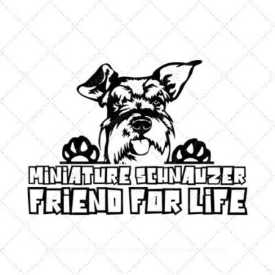 Miniature schnauzer friend for life SVG PNG EPS DXF AI Download