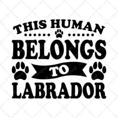 This Human Belongs To Labrador SVG PNG EPS DXF AI Download