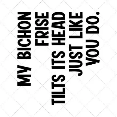 My Bichon Frise Tilts It's Head Just Like You Do SVG PNG EPS DXF AI Download