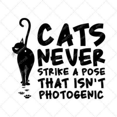 Cats Never Strike A Pose That Isn't Photogenic SVG PNG EPS DXF AI Download